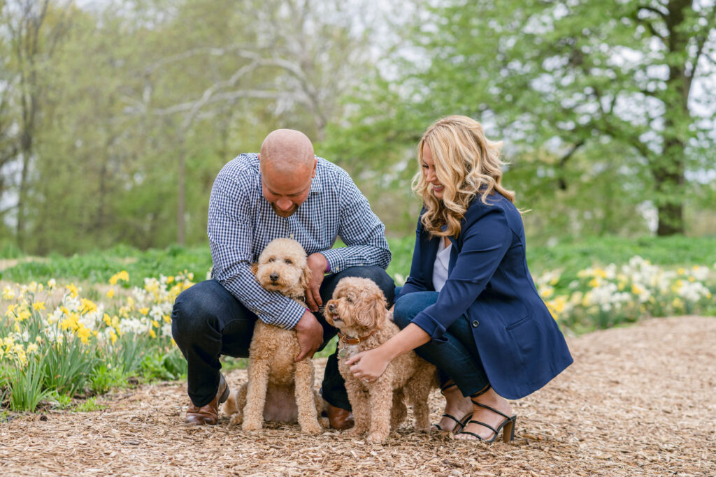 St Louis engagement photo with dogs Forest Park
